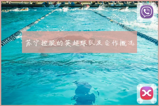 苏宁控股的英超球队及合作概况