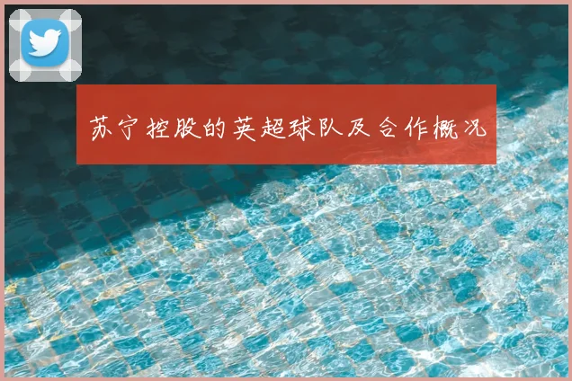 苏宁控股的英超球队及合作概况